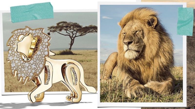 跟着Tiffany & Co. 最新珠宝系列「Save The Wild」一起爱动物！ 美美日记,meimeiriji.com