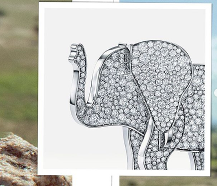 跟着Tiffany & Co. 最新珠宝系列「Save The Wild」一起爱动物！ 美美日记,meimeiriji.com
