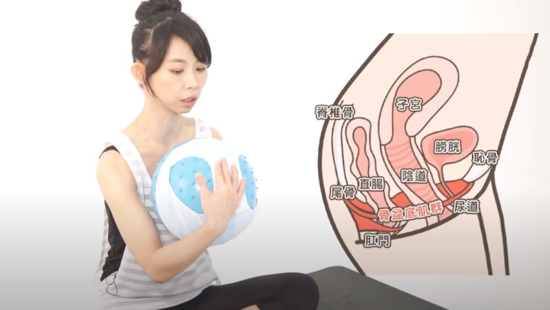 女生一生的幸福！不要只会凯格尔运动，强化整体「骨盆底肌」超重要，平常在重训、想要私密处紧实、产后、会漏尿的人必学 美美日记,meimeiriji.com
