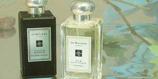 Jo Malone London 2020年度新香揭晓！「仙境花园梦游奇遇」系列 美美日记,meimeiriji.com