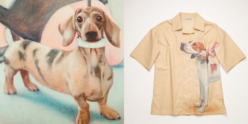 狗奴必收！瑞典极简风品牌Acne Studios联手艺术家推出超可爱狗狗联名萌到心融化～ 美美日记,meimeiriji.com