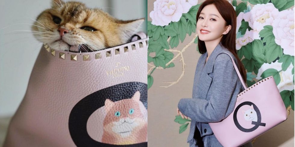 猫狗奴必收！Valentino 推出萌宠系列订制铆钉托特包把家里最爱的毛小孩直接画在包包上太可爱 美美日记,meimeiriji.com