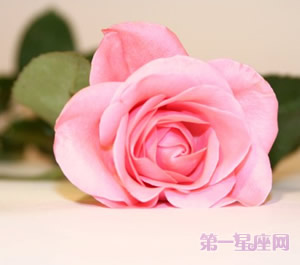 送玫瑰花祝福语怎么写？